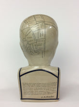 Load image into Gallery viewer, Large Phrenology Head