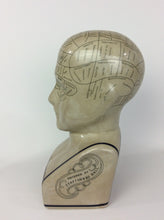Load image into Gallery viewer, Large Phrenology Head