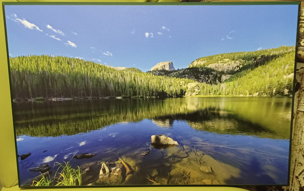 Rocky Mountain National Park on wood by Local Artist