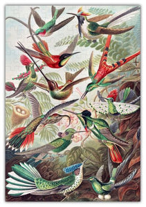 Hummingbirds Birch Wood Jigsaw Puzzle