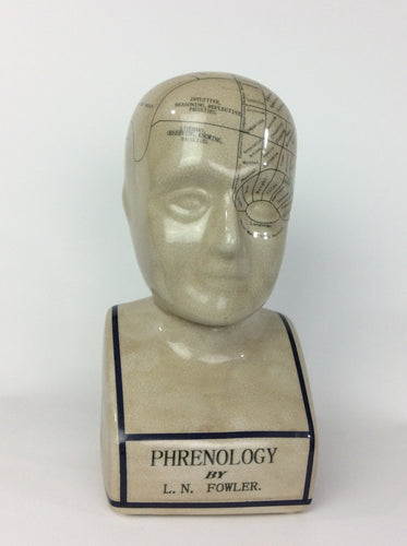 Large Phrenology Head