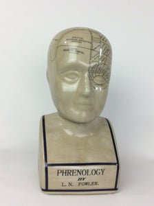 Large Phrenology Head