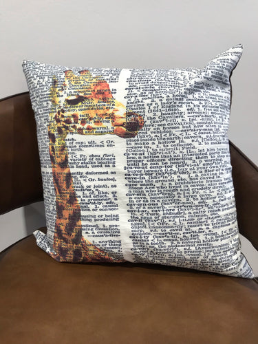 Decorative Pillow